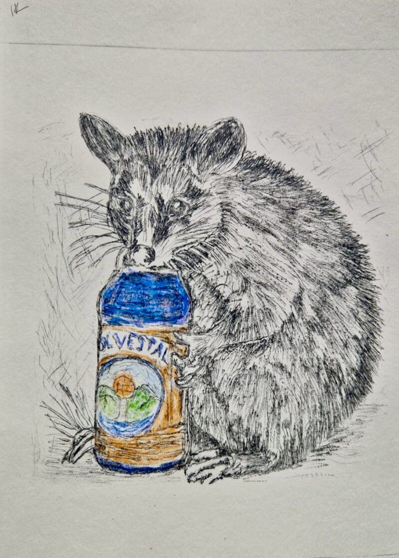 etching of a possum holding a beer can